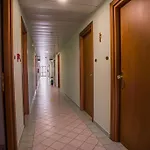 Gli Ulivi
