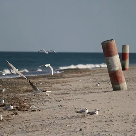 Gli Ulivi Soverato Marina