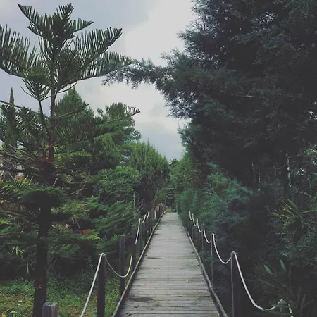 Gli Ulivi Soverato Marina