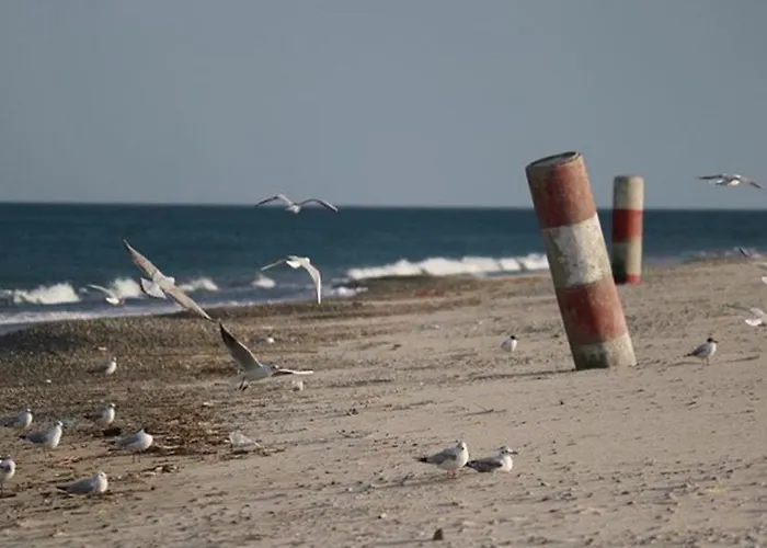 Gli Ulivi Soverato Marina
