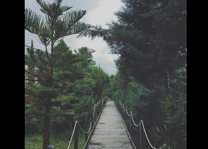 Gli Ulivi Soverato Marina